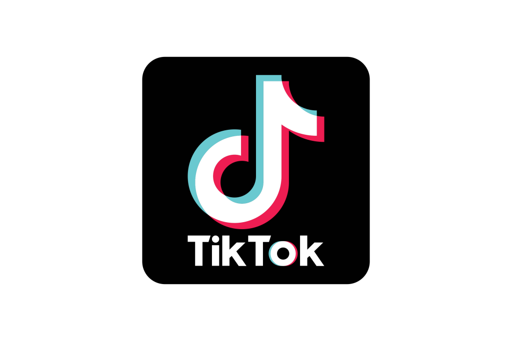 TikTok Logo with link to Serenity Nomads TikTok page.